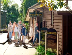 Full-Day Winery Tour: Gold Coast Pick-Up